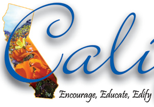 CSBCNews's profile picture. 