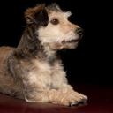 bethany spencer - @Betsyboo03 - Twitter