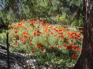 andersmelaas's profile picture. 