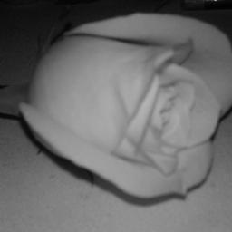 Biology tutor, art and crafter, ILT enthusiast, research expert. Views my own...