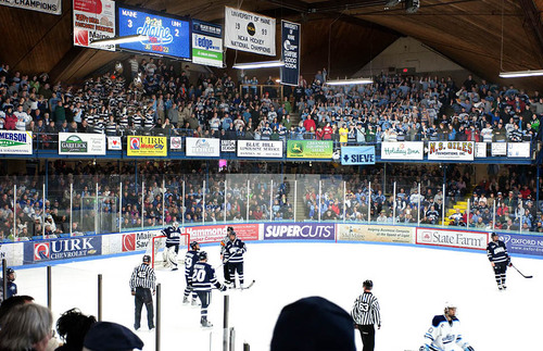 Maine Hockey Fan. Bangor Muni raised. First National Bank employee.