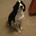 Jacob Coffelt - @ChicoJake - Twitter