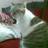agien's profile image