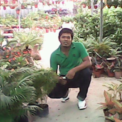 adi putra + →