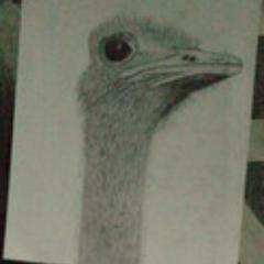 tmdrtina's profile picture. SW Engineer/Architect (💜 @rustlang), InfoSec Enthusiast, Network Tinkerer