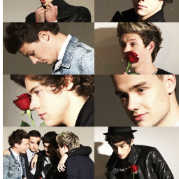 Hello:)) My Name Angie, And I Love ONE DIRECTION.!!  And if you love one direction follow me....x Love you all:)