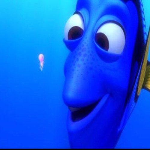 Find me!!!! And Sea monkey stole my money.    [No affliation with Pixar or Finding nemo]