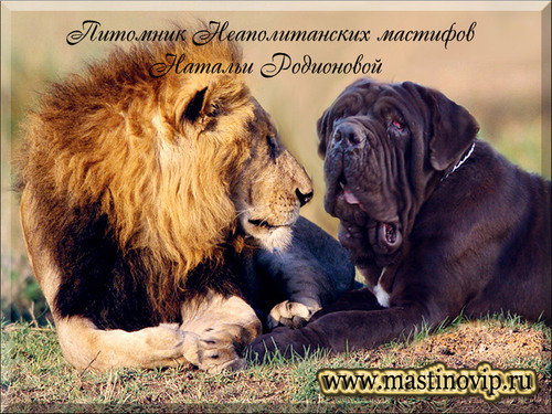 stasyamba20's profile picture. :-)