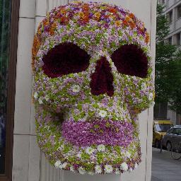 IReguera's profile picture. Triatleta de larga, Llorón en activo, Ingeniero Industrial + de 8 horas y Reguera full-time. --No será fácil, pero valdrá la pena--