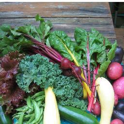 Itsyourmomben's profile picture. 