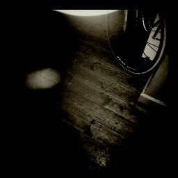 JasonTreehugger's profile picture. kilner.jason@gmail.com