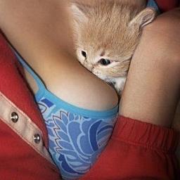 Котейки и Сисечки здесь!
Максимум эротических сисек и нежных котиков!