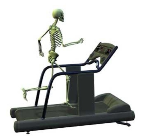 cherann23's profile picture. life is good when there is baseball and running. Lead White Sox @AerysSports writer