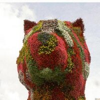 iheartbasquecountry (@iheartbasque) 's Twitter Profile Photo