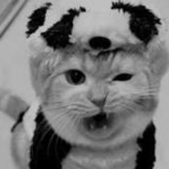 Amo_Voce_s2_'s profile picture. https://t.co/ZoGp74lLr4