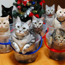 Hoi Yan Sin - @yan_tvxq - Twitter