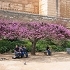 juli_test's profile picture. Test