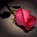 Adel saad (@0saad) Twitter