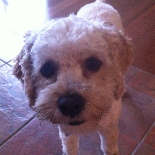 AthenaRasile's profile picture. 