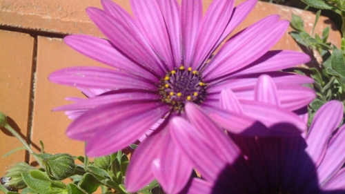 cresangon's profile picture. 