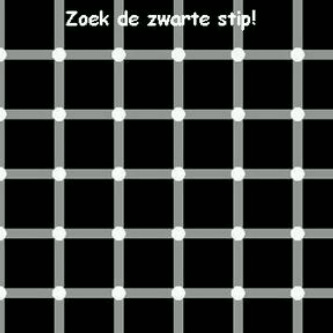 Al je me volgt kan je genieten van de leukste en grapigste moppen en je kan prijzen winnen