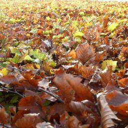 rocketscience79's profile picture. 