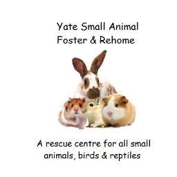 We are a small home based rescue centre who take in all small animals, birds & reptiles.
We also take in wildlife