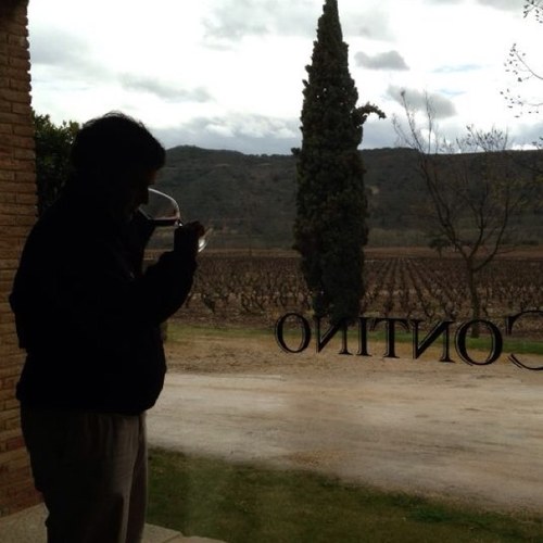 marcosgdl50's profile picture. El mundo entero tiene más o menos tres vasos de vino de retraso. (de jerez). Working at Pernod Ricard.