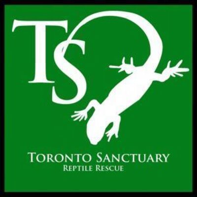 toronto sanctuary tosanctuary twitter toronto sanctuary tosanctuary twitter