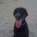 Darla Purdy - @YosSam15 - Twitter