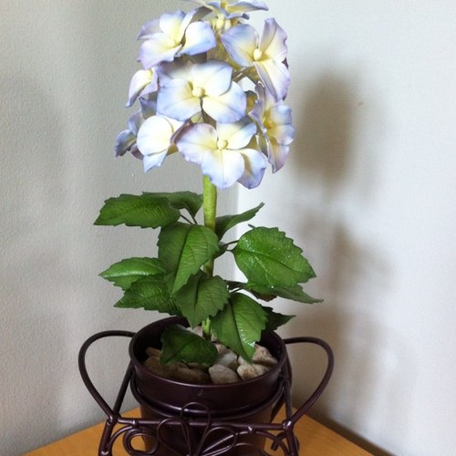 MarieJcake's profile picture. 