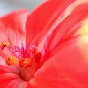 Jackson Mathew - @Jacksonkzae - Twitter