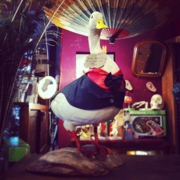 SalmagundiWest's profile picture. A collection of interesting things.