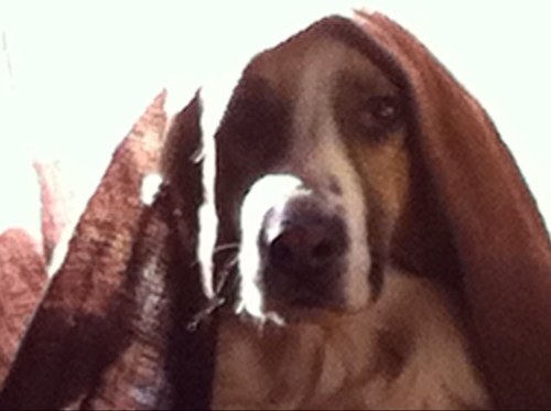 JgBcn_'s profile picture. Serveis IT - Ens agrada aprendre i també ensenyar