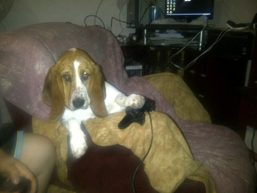 Greis35Graciela's profile picture. Amo los animals sigofriend,two andalf men,lost,thewalkingdead,smalville,trueblond.sig realitys a Sincodificar m gust str informad y detest el maltrat ala mujer.