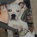 Christina Combs - @christinacomb - Twitter