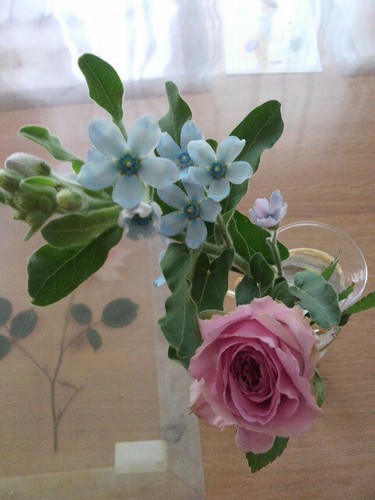 ykmori_mori's profile picture. 読書・サッカー観戦・ビールが好きです