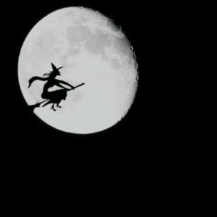 __5665's profile picture. 15 سنه .