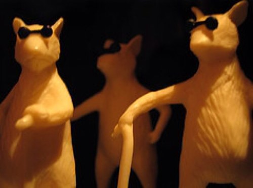 runbymice's profile picture. We mean no harm.