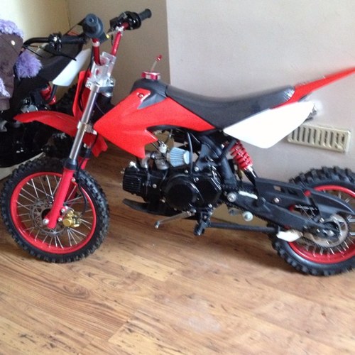 shanew1996_wood's profile picture. 