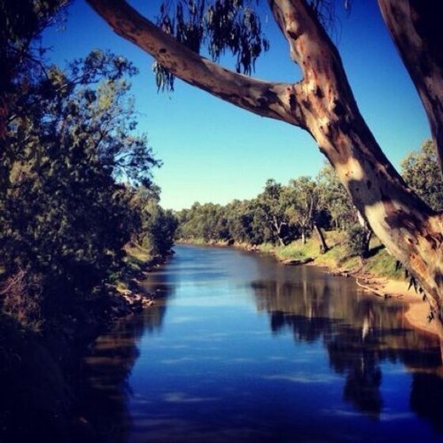 ReTweeting Community Network Australia. Views or opinions expressed here or on linked documents do not necessarily represent those of Dubbo Community tweets