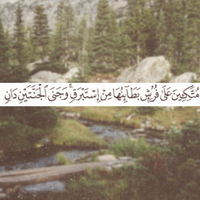 تغريد بنت تركي ♕ (@alnajdeah) Twitter profile photo