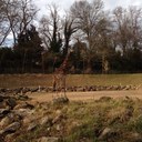 Kim Bunn - @Bunn4500Kim - Twitter