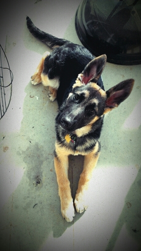 meyerkristi04's profile picture. 