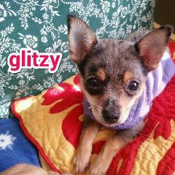 Giltzy Gals Custom dazzle-wear for gals and their four legged pals.