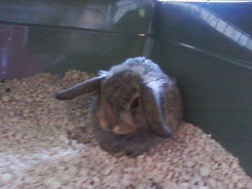 Alexis_Phaby's profile picture. 