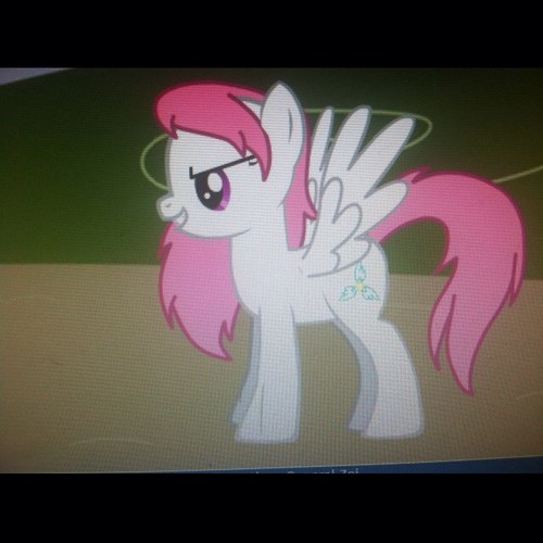 Awww yeah! You just found the daughter of dashie and flutters! You just become 20% yayer! Ya see, flutters adopted me a while after her and Dashie got married.