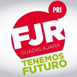 Frente Juvenil Revolucionario Guadalajara, Representante de los Jovenes Priistas, que quieren un Mexico con oportunidades e incluyente. Tuiteamos?