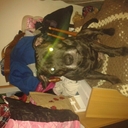 scott triggs - @Scott_Trigger - Twitter