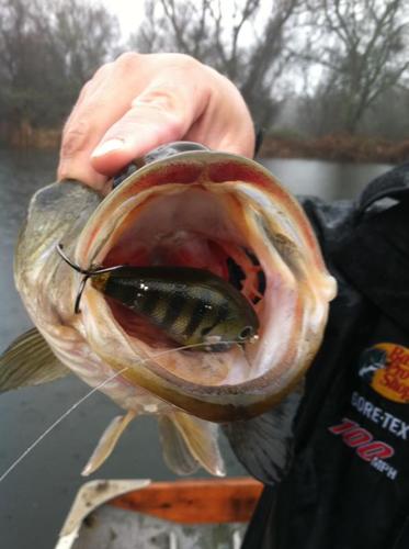 http://t.co/itzNgxZDnZ is a great new bass fishing website for serious bass fisherman.  Coming in 4-6 weeks, stay tuned.